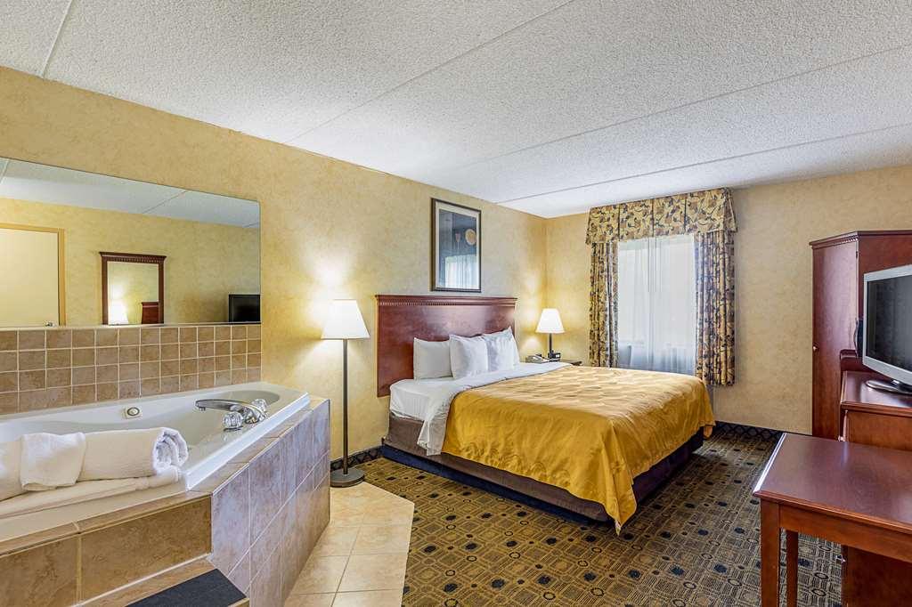 Quality Inn & Suites Coldwater Near I-69 Room photo