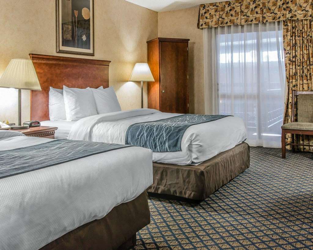 Quality Inn & Suites Coldwater Near I-69 Room photo