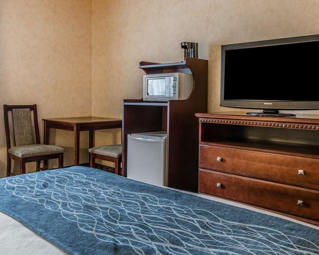 Quality Inn & Suites Coldwater Near I-69 Room photo