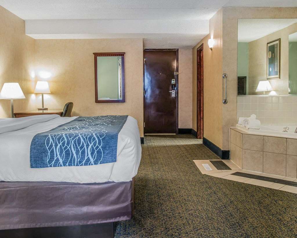 Quality Inn & Suites Coldwater Near I-69 Room photo