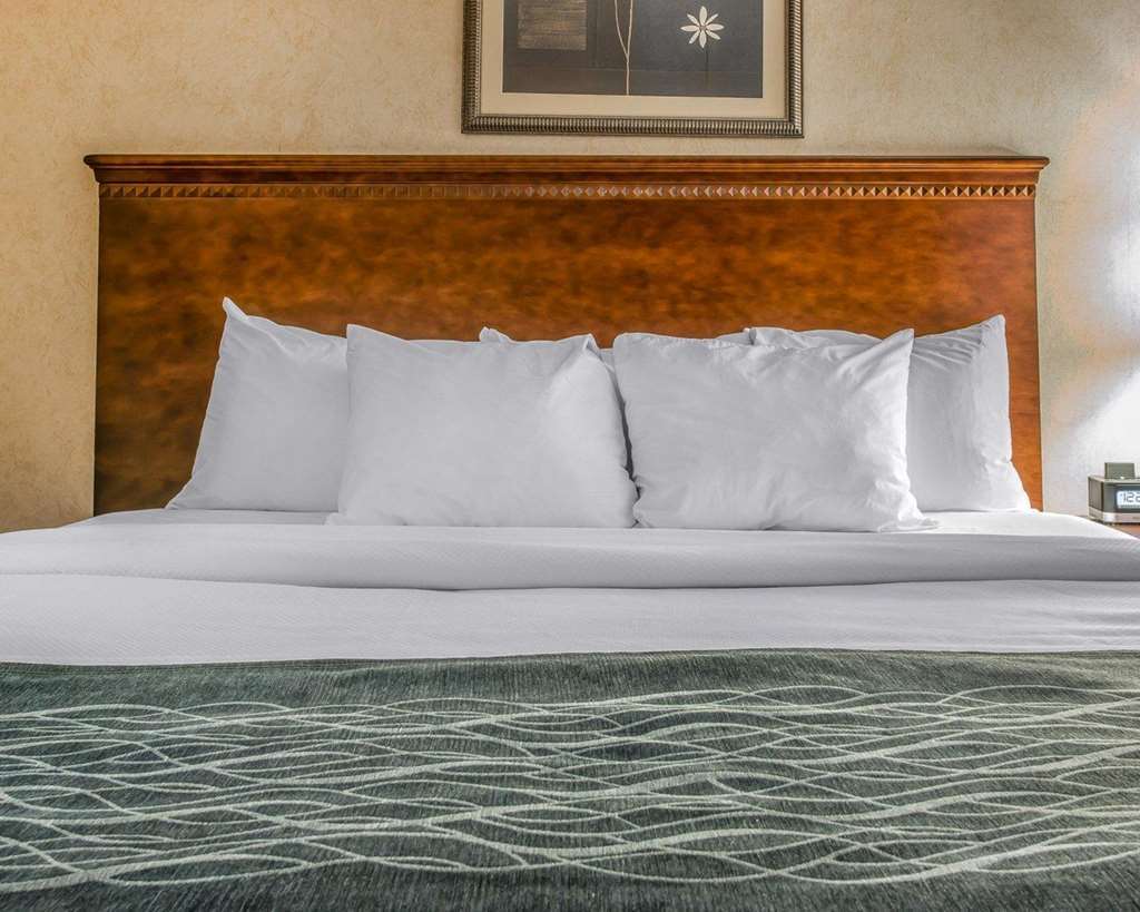 Quality Inn & Suites Coldwater Near I-69 Room photo