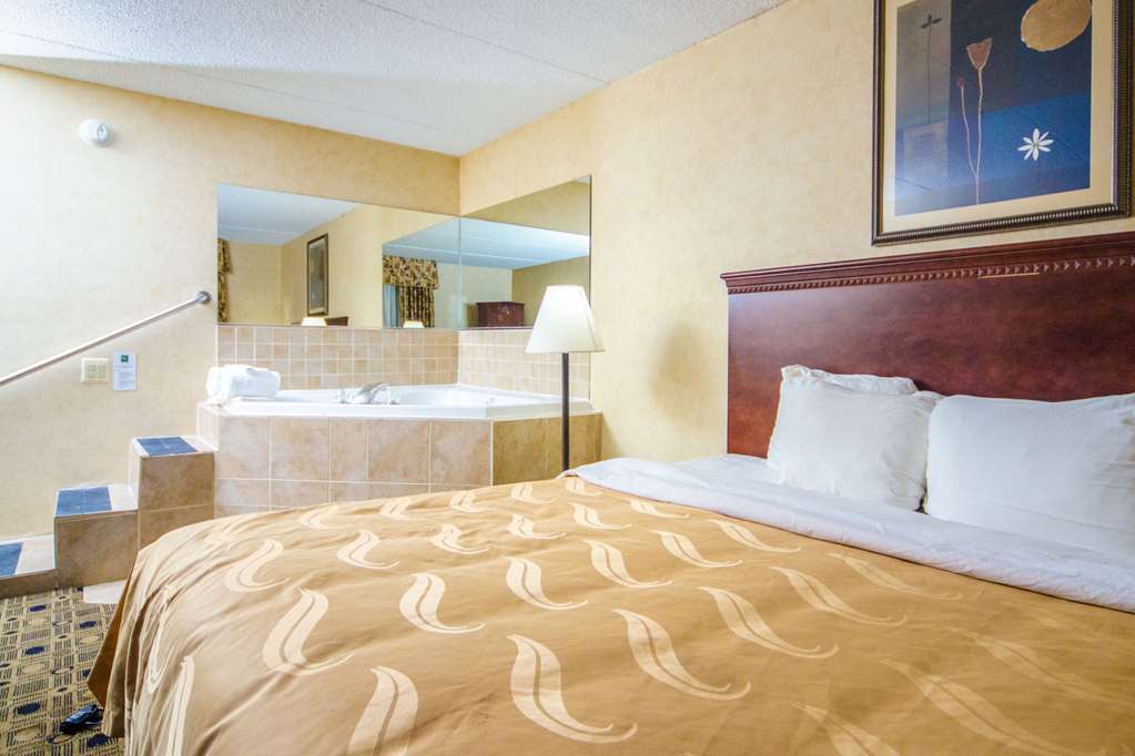 Quality Inn & Suites Coldwater Near I-69 Room photo