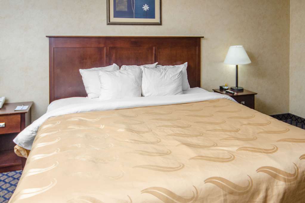 Quality Inn & Suites Coldwater Near I-69 Room photo